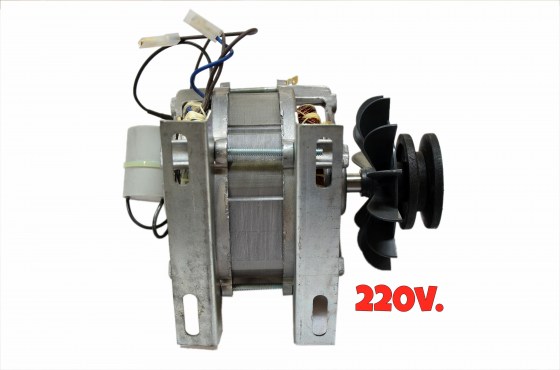 1138 MOTOR  220v.  (Pé de Ferro-42 MM.) - POLIA DE ALUMÍNIO 36